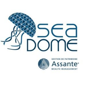 Sea Dome Logo of jellyfish