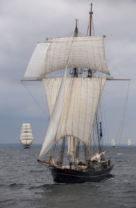Tall Ship Wylde Swan