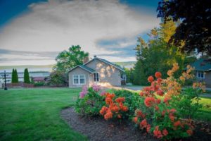 Cottage on water with flowers bloomed