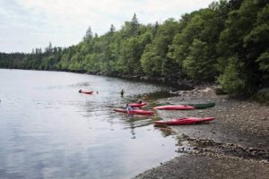 Kayaks on shore with people walking