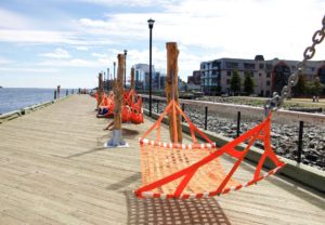 Waterfront Hammocks