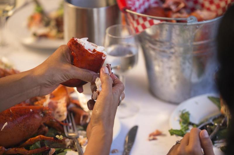 Person eating lobster