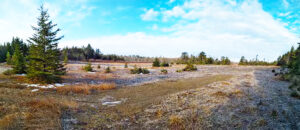 Historic Gold Mine Remediation Landscape Shot