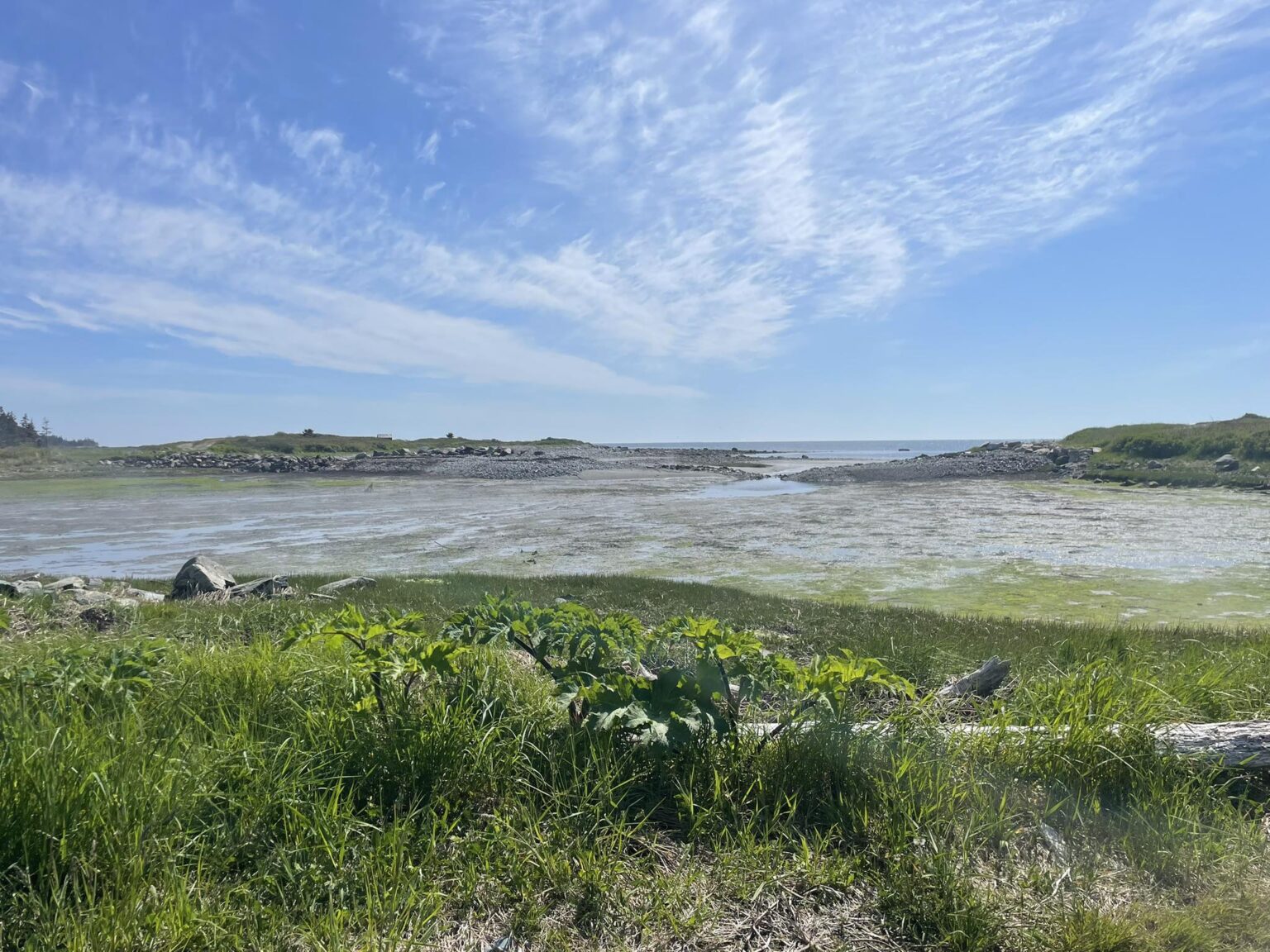 Improvement to a pond in West Pubnico | Build Nova Scotia | Build Nova ...